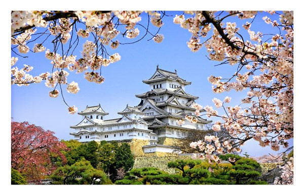 Pintoo | Himeji-Jo Cherry Blossom - 1000 Piece Jigsaw Puzzle